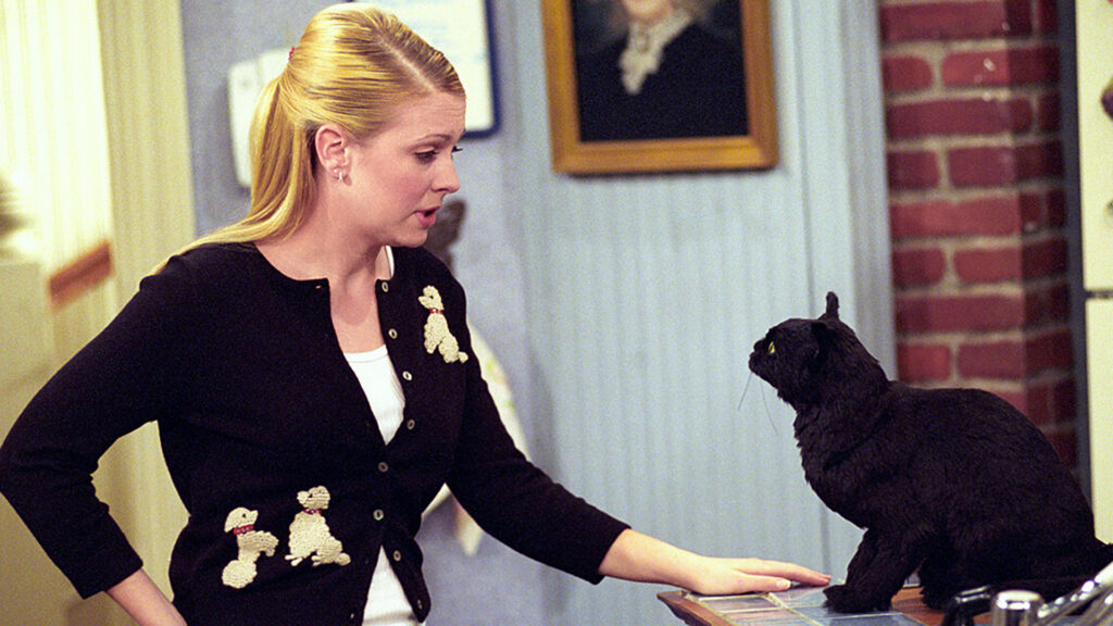 A scene from Sabrina the Teenage Witch features Salem the cat 