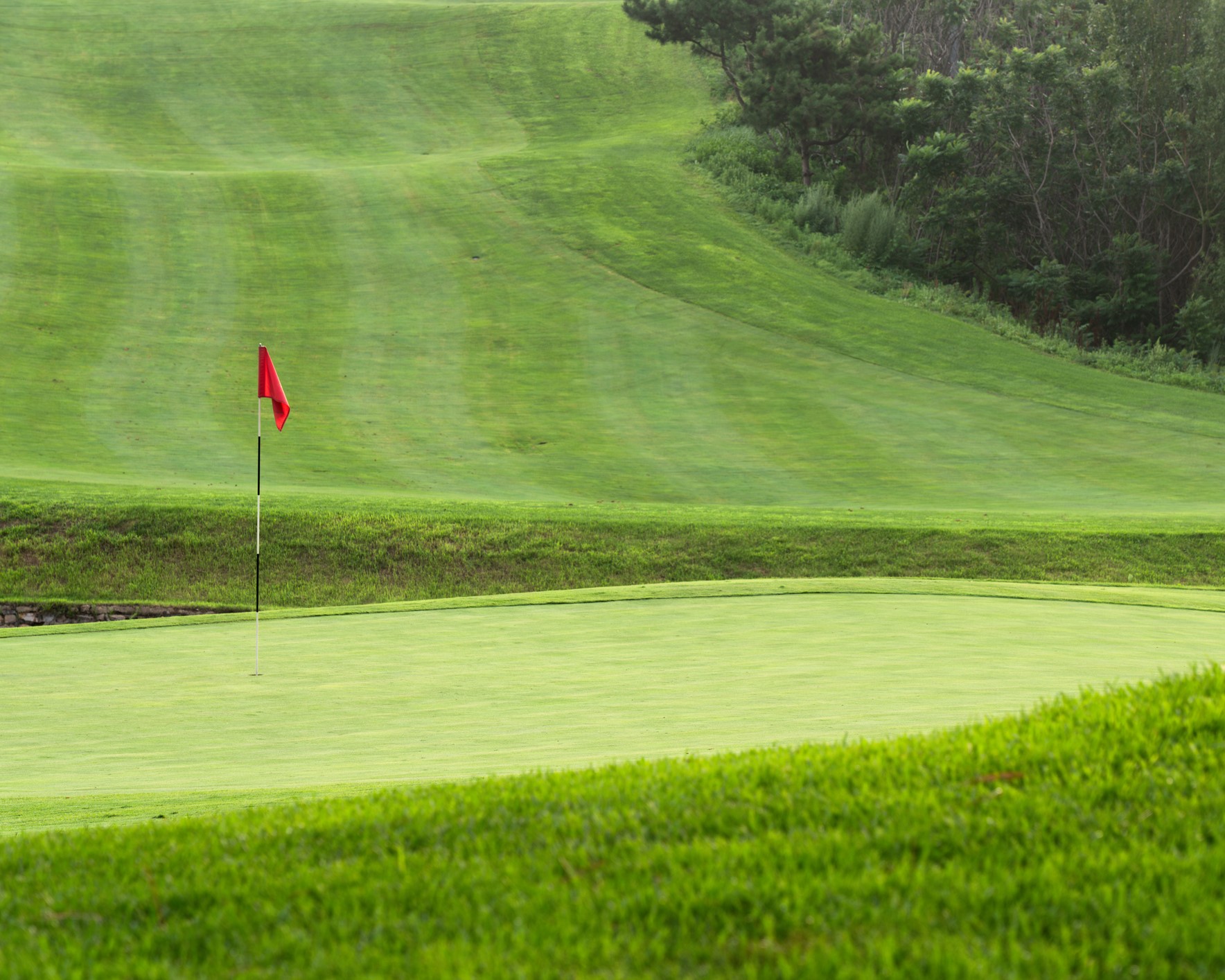 PGA TOUR on CBS