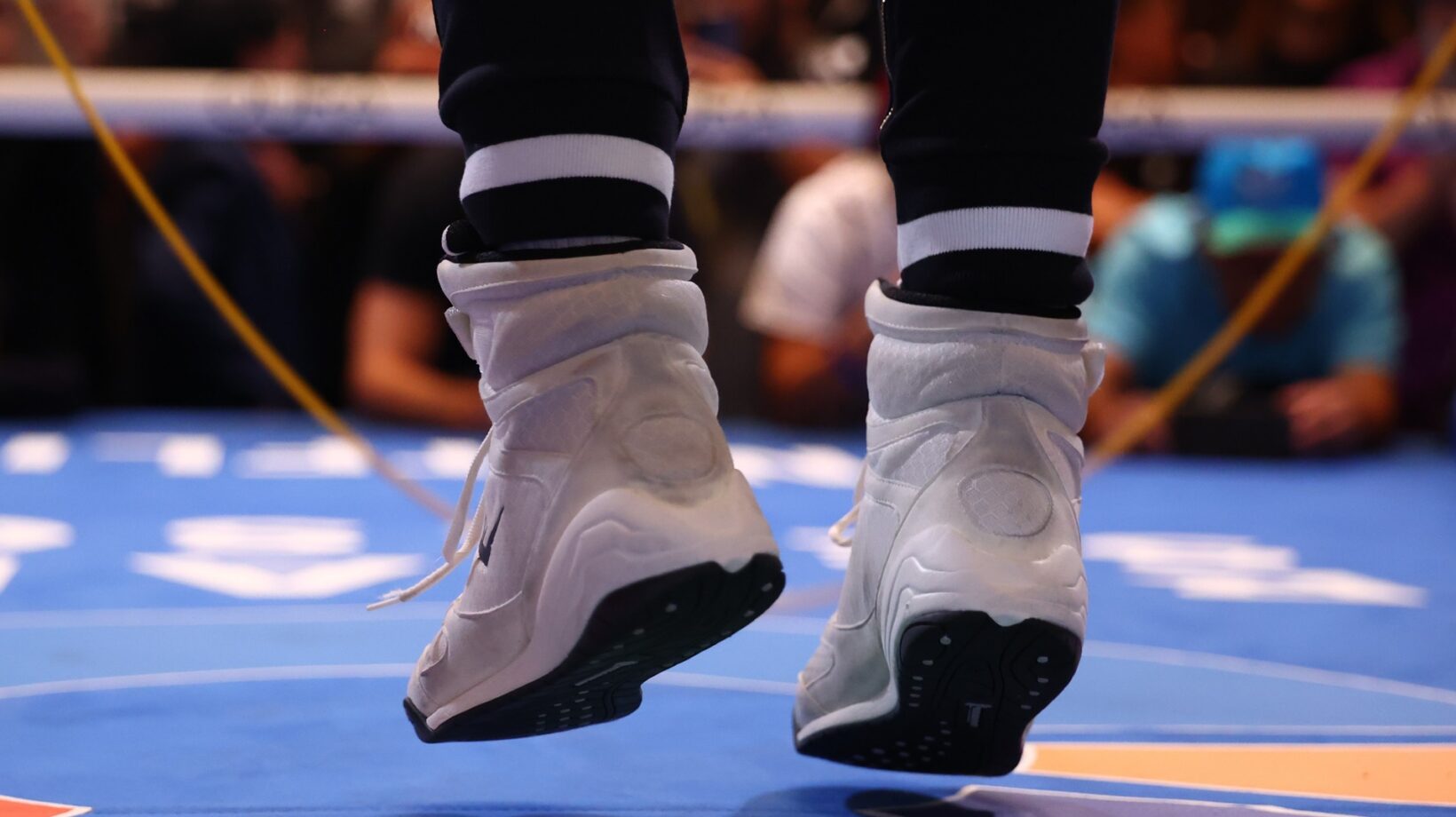 Zuffa Boxing: Everything You Need To Know