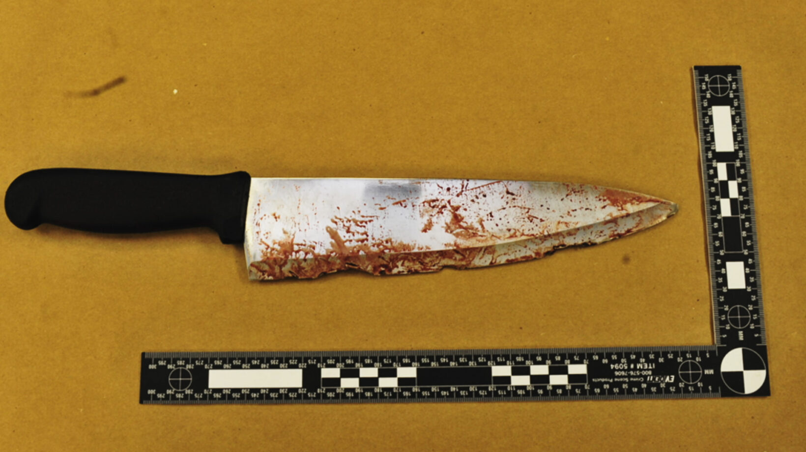 FBI True: Everything You Need To Know