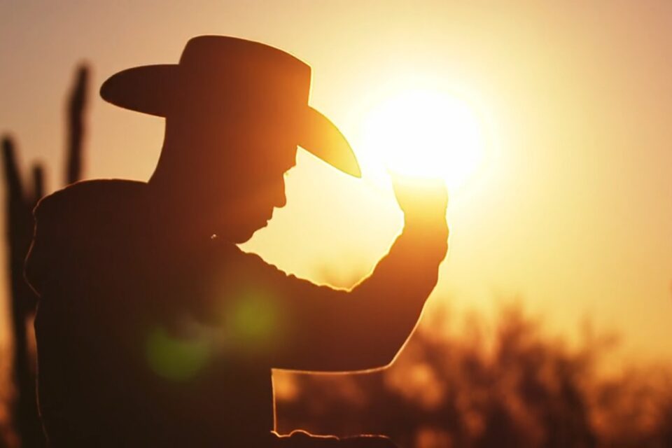 The Last Cowboy