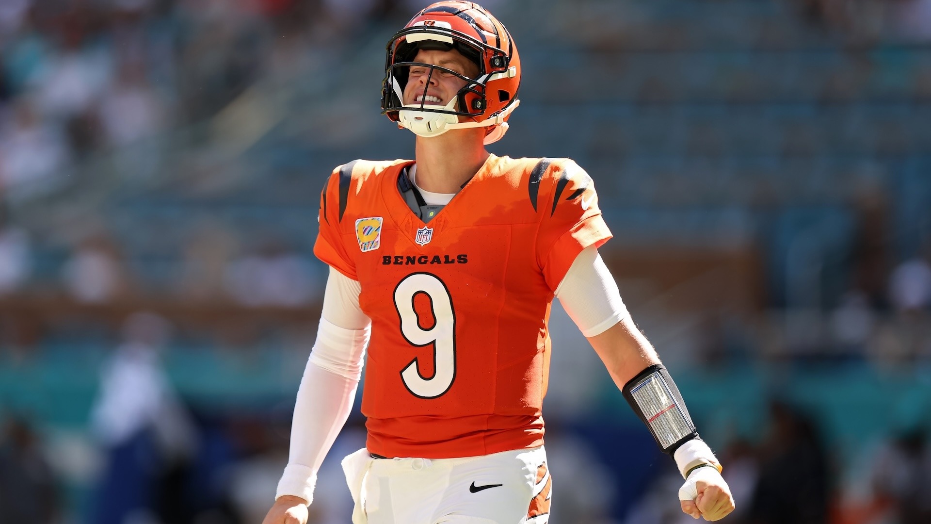 Bengals vs. Ravens NFL Game - Where To Watch And Stream Live, Date And ...
